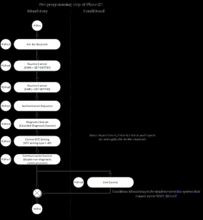 Figure 2: Programming Phase #1 - Pre-Programming Step